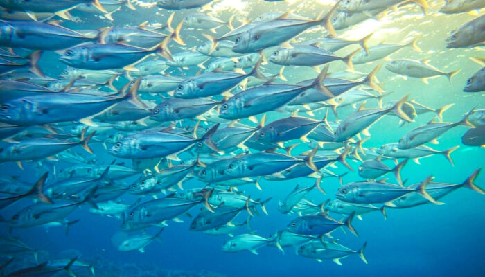 Lieblingsplätze Spanien