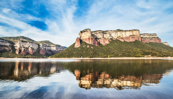 Nature,Landscape,Of,Sau,Lake,In,Barcelona,Province.